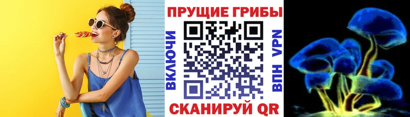 где продают   Сорочинск  Галлюциногенные грибы MAGIC MUSHROOMS 