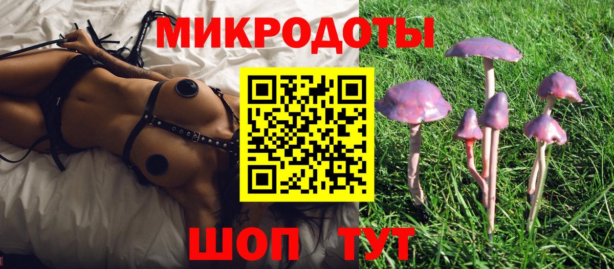 Псилоцибиновые грибы мухоморы Сорочинск
